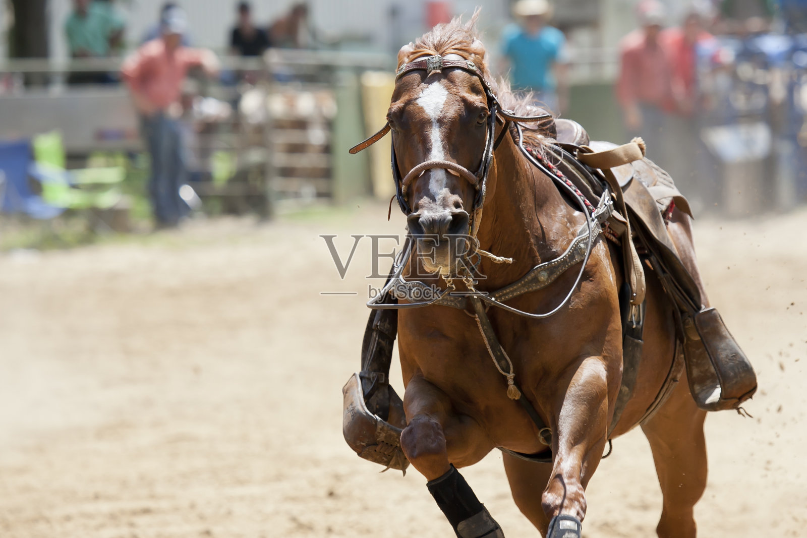 在宽松的照片摄影图片