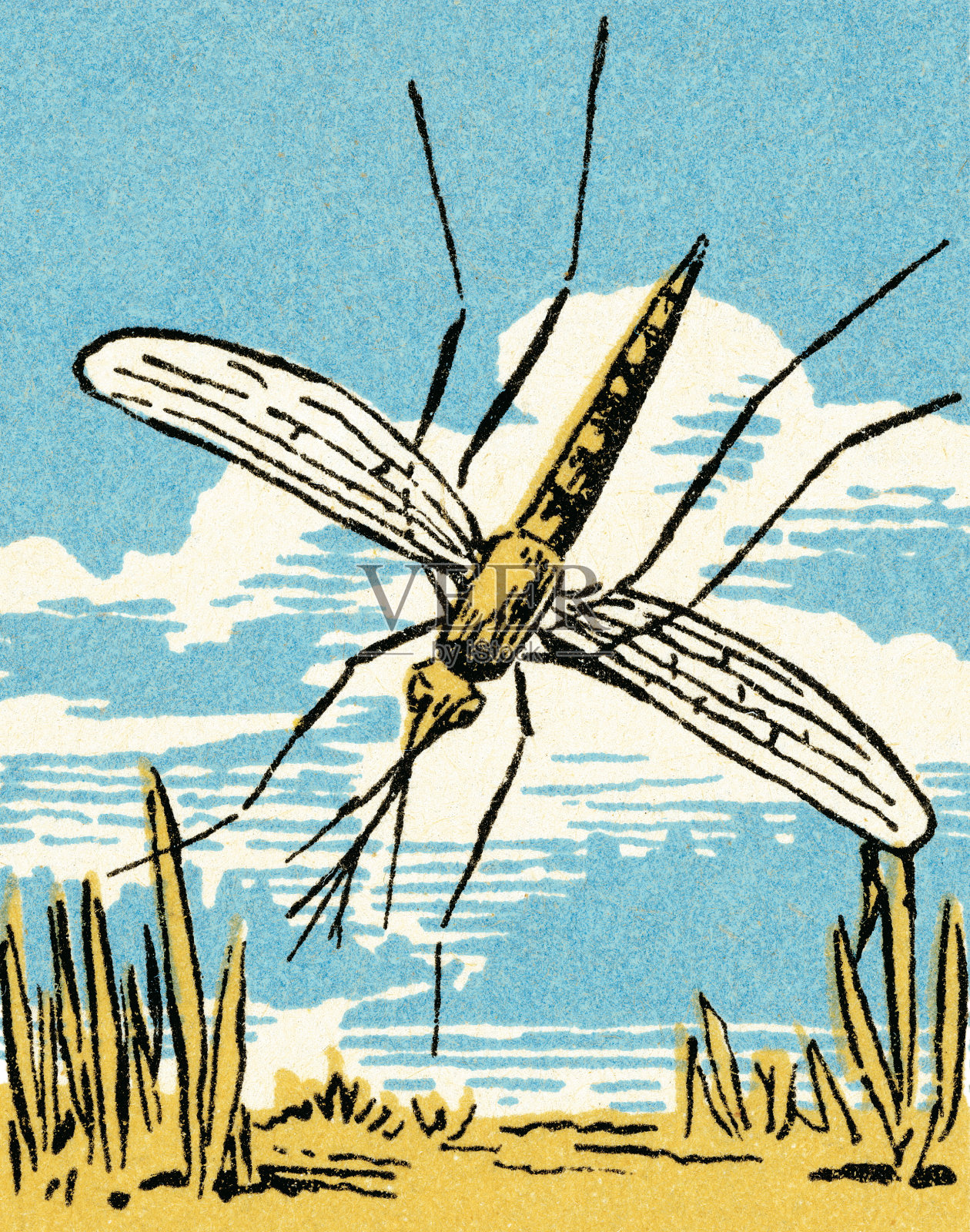 昆虫插画图片素材