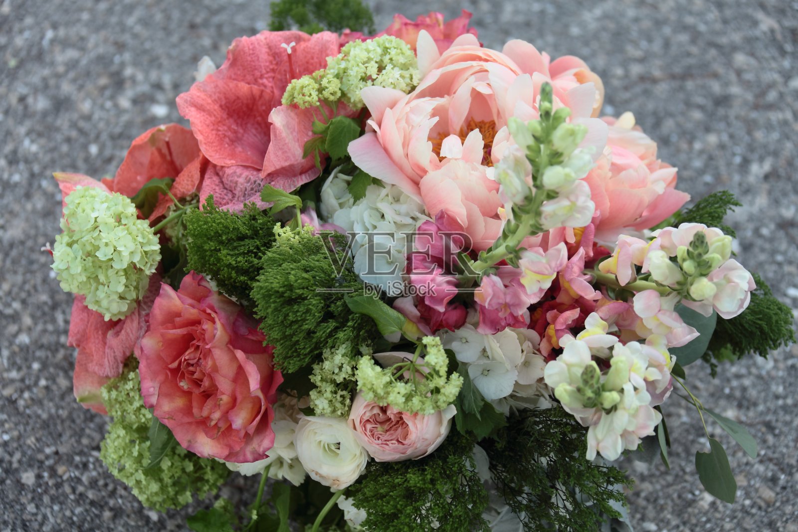 一束。照片摄影图片