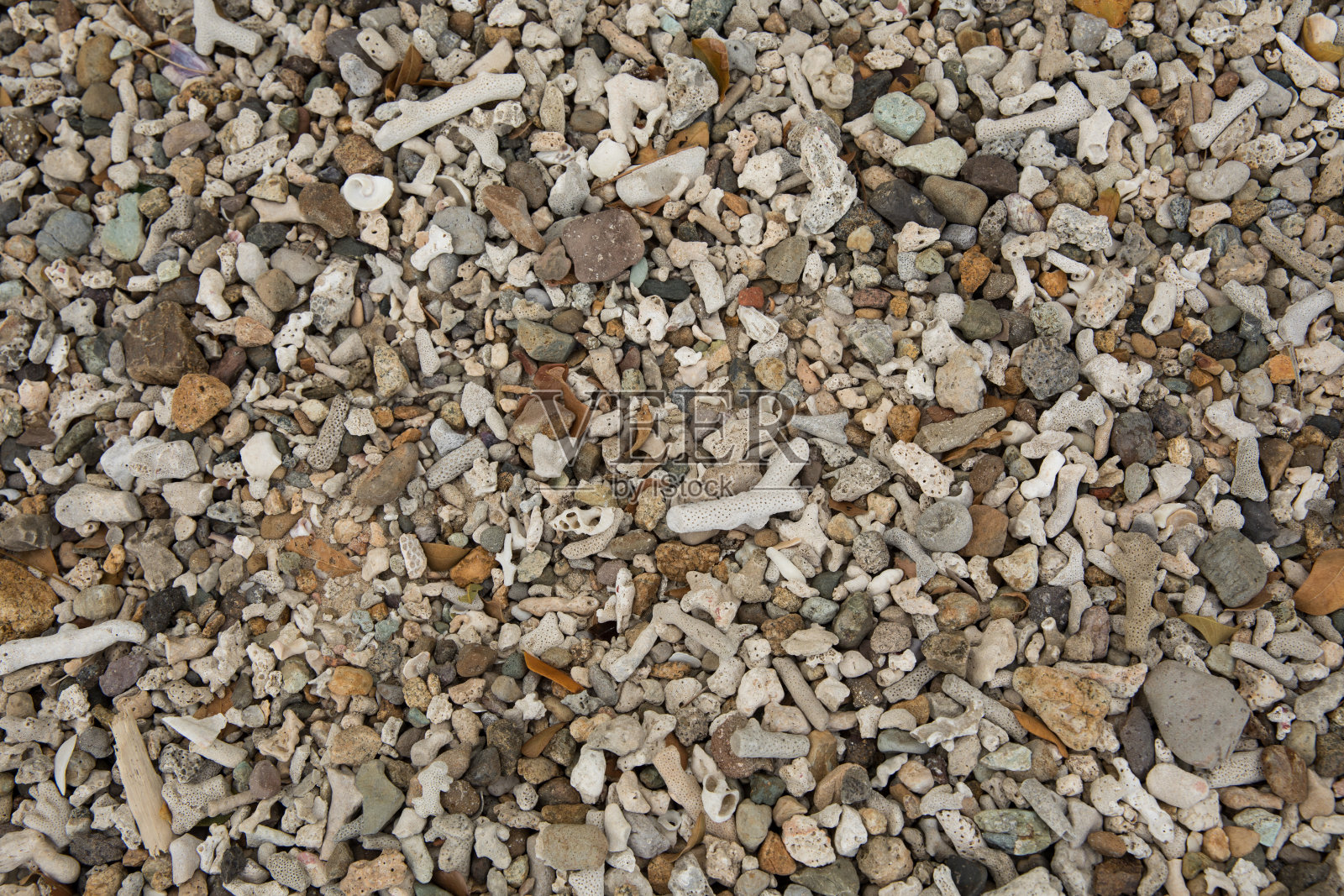 珊瑚海滩照片摄影图片