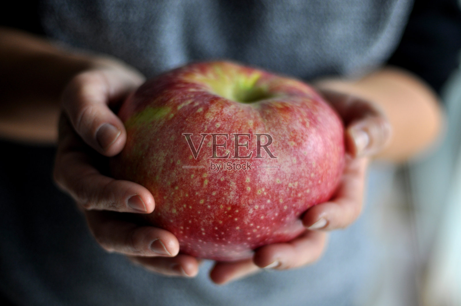 成人手中的大苹果照片摄影图片