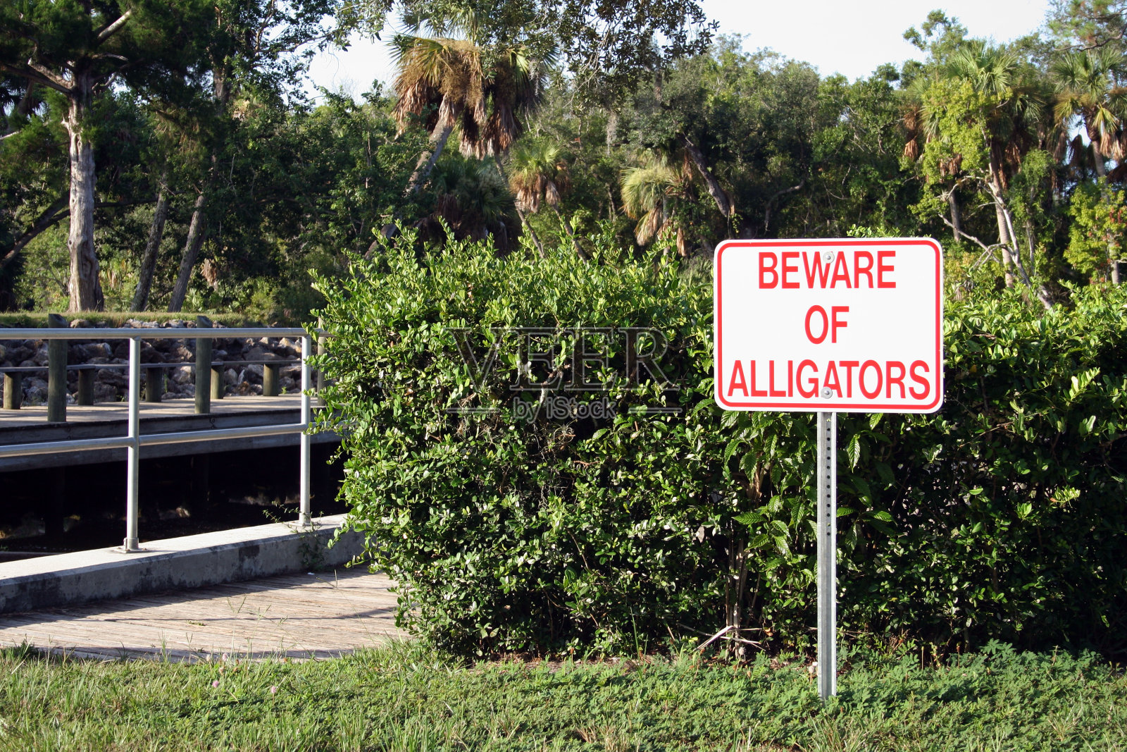 当心短吻鳄标志照片摄影图片