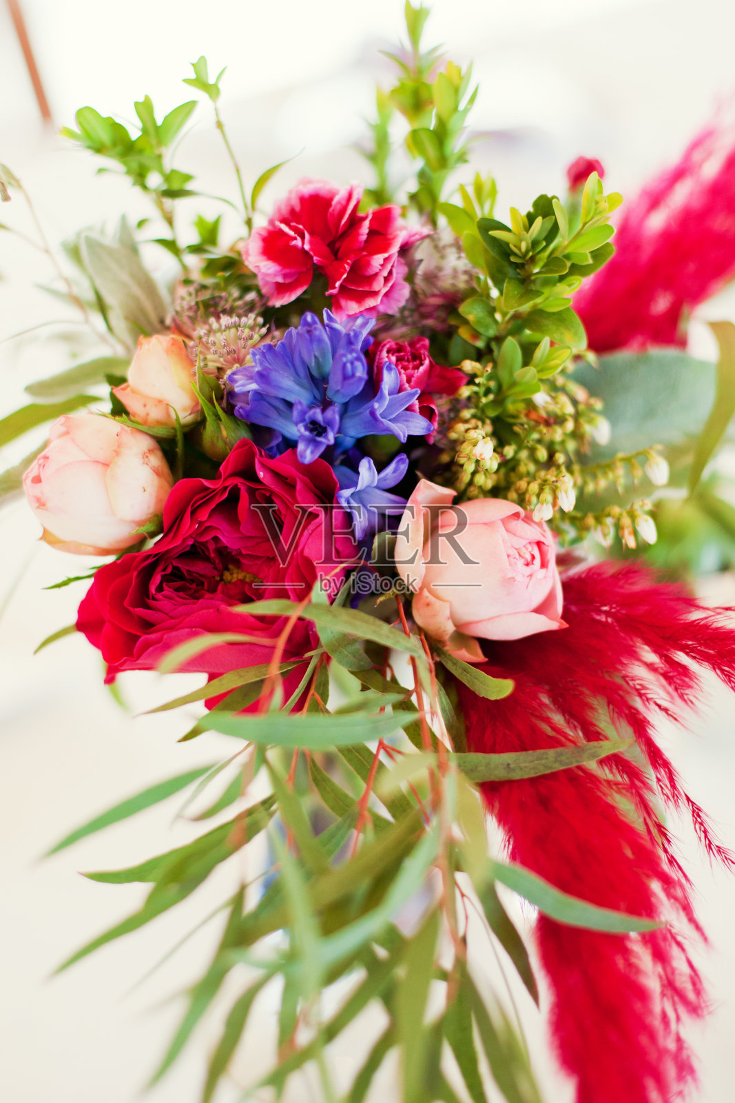 放荡不羁的成分照片摄影图片