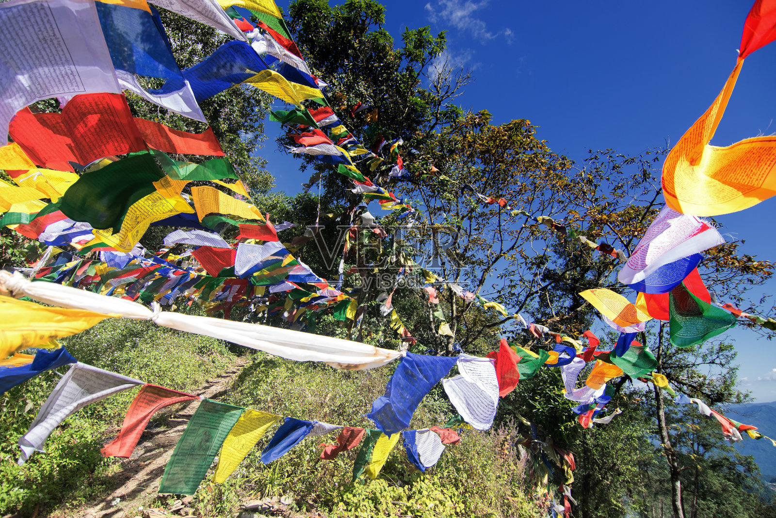 五颜六色的佛教经幡旗，印度锡金照片摄影图片
