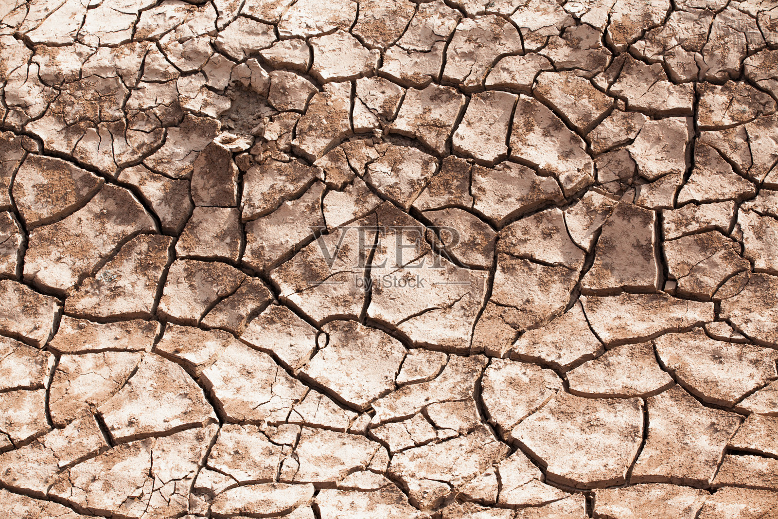 了土壤照片摄影图片