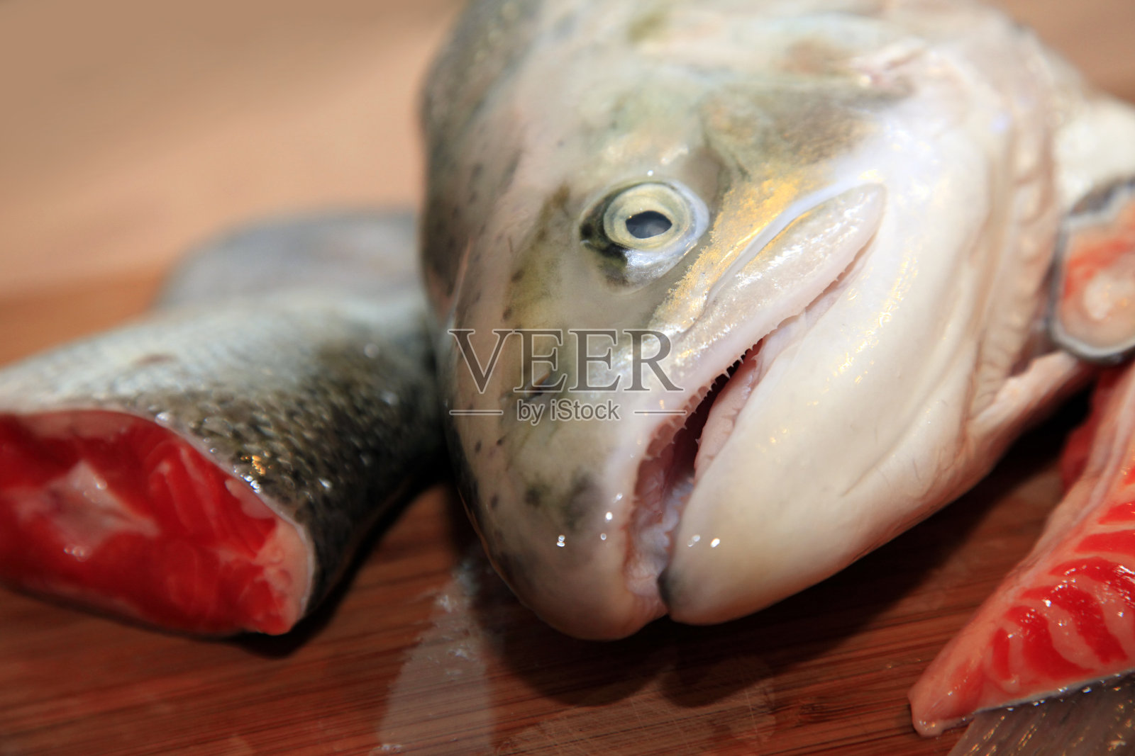 大马哈鱼照片摄影图片