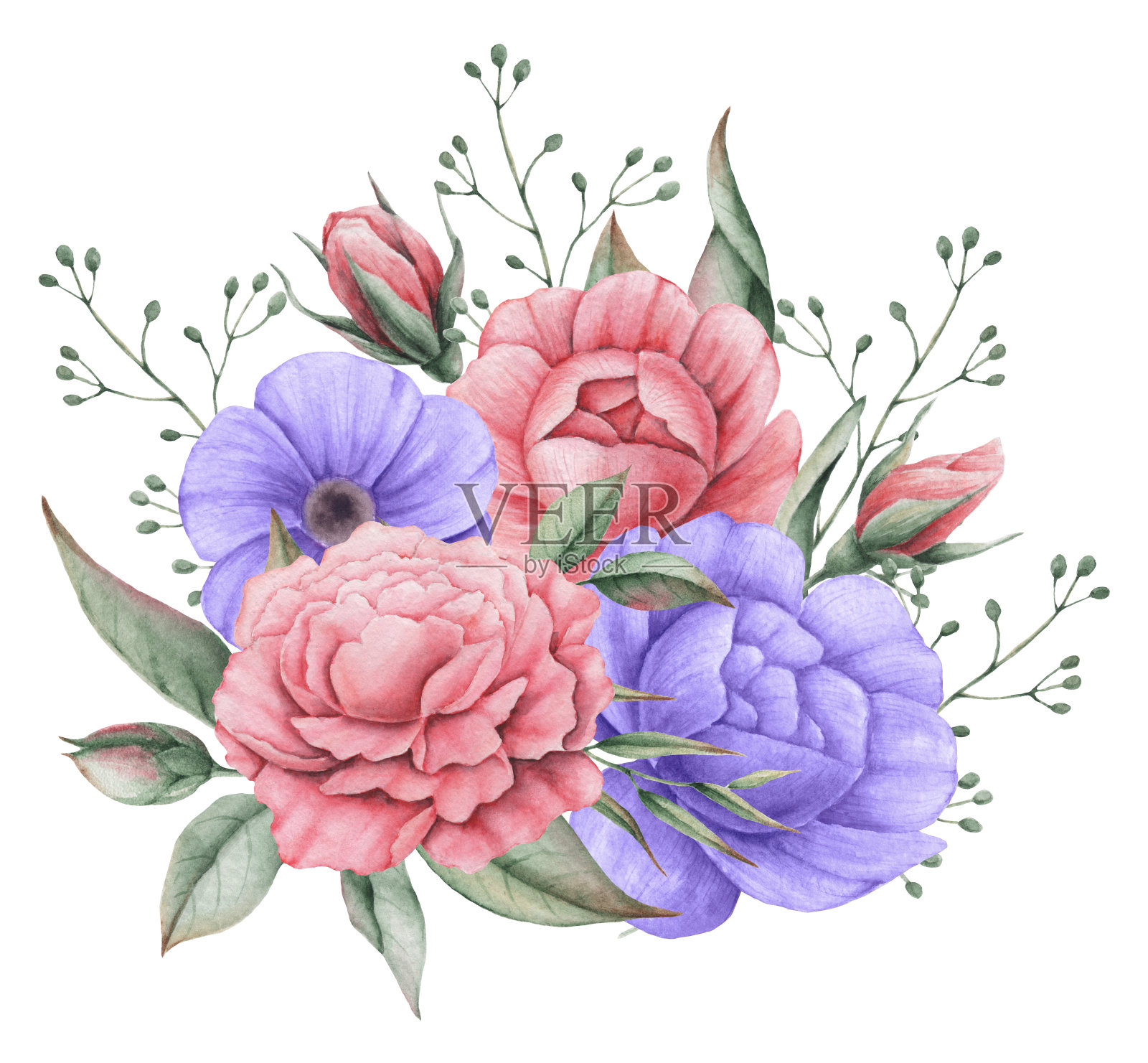 手绘水彩迷人的花和叶的组合，孤立在白色的背景插画图片素材