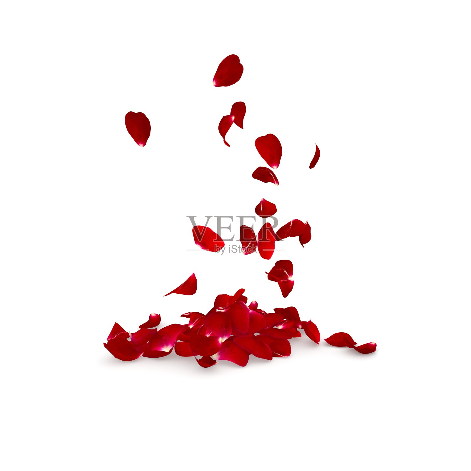 玫瑰花瓣飘落到地板上照片摄影图片