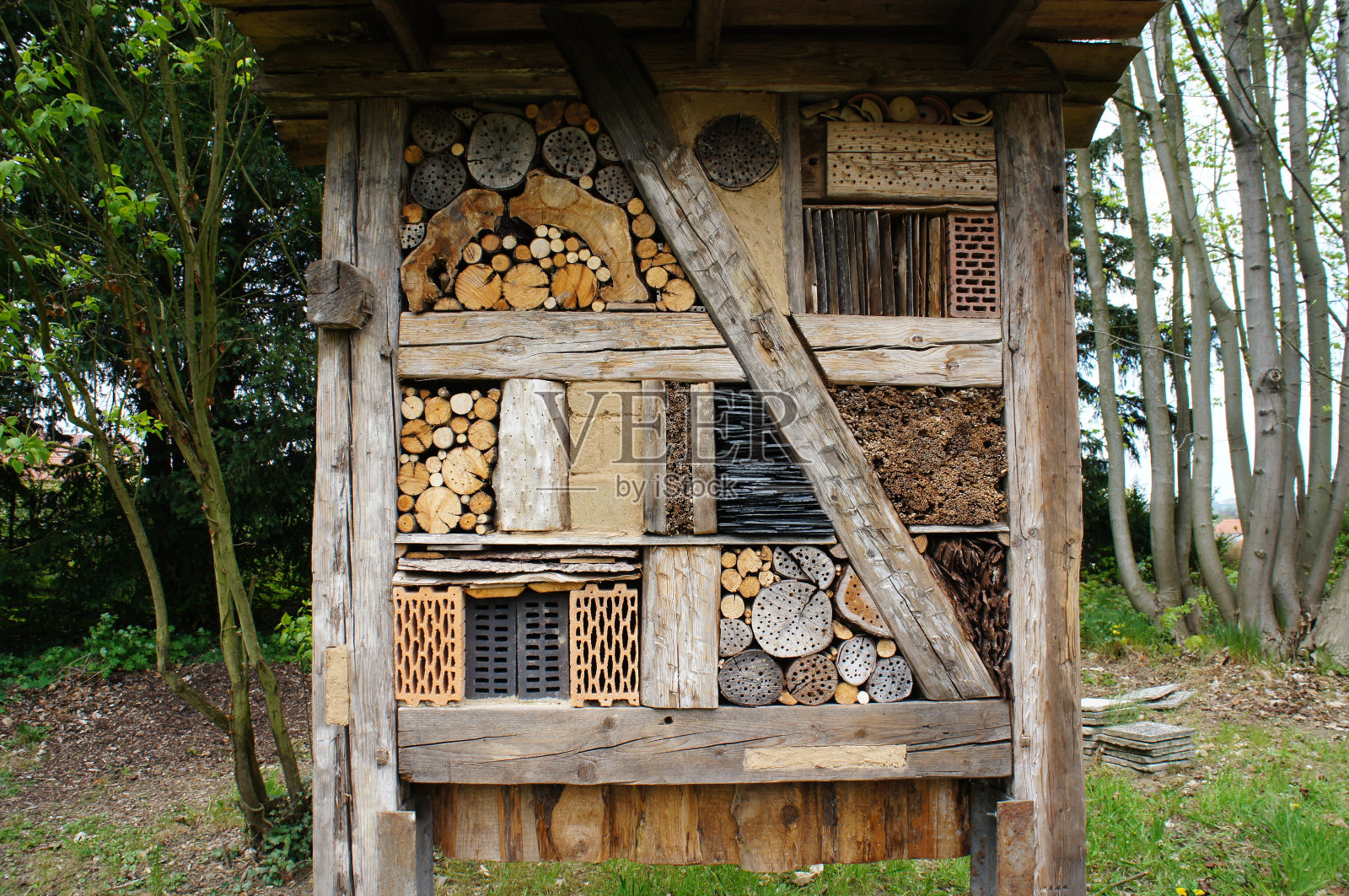 昆虫的酒店照片摄影图片