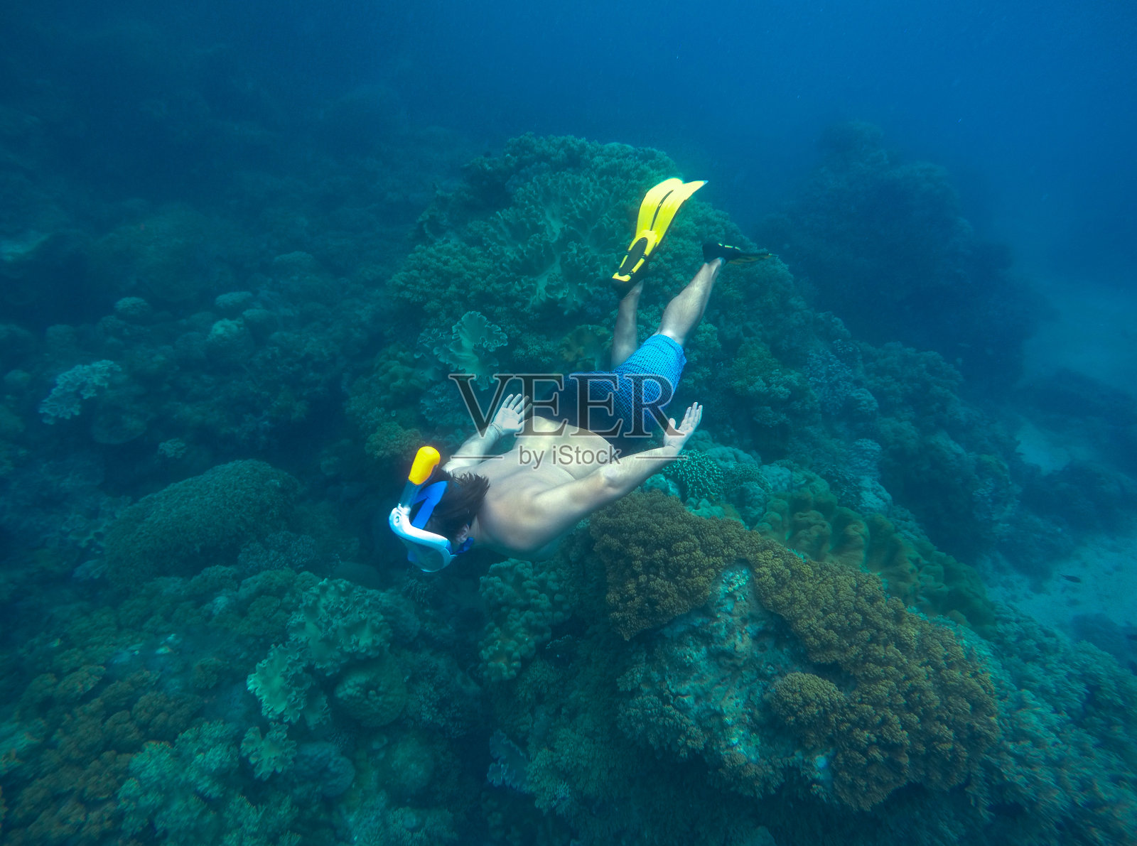 在热带海洋的珊瑚礁中浮潜的人照片摄影图片