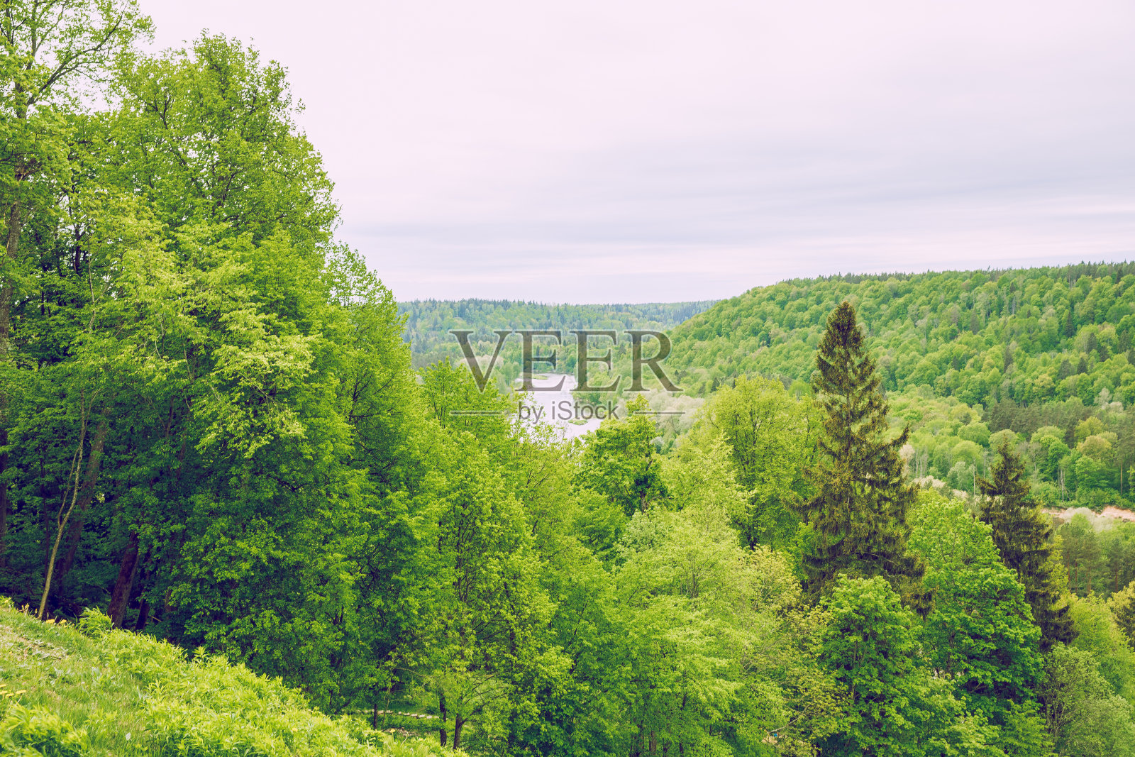 在拉脱维亚的河流和木材，锡古尔达。照片摄影图片