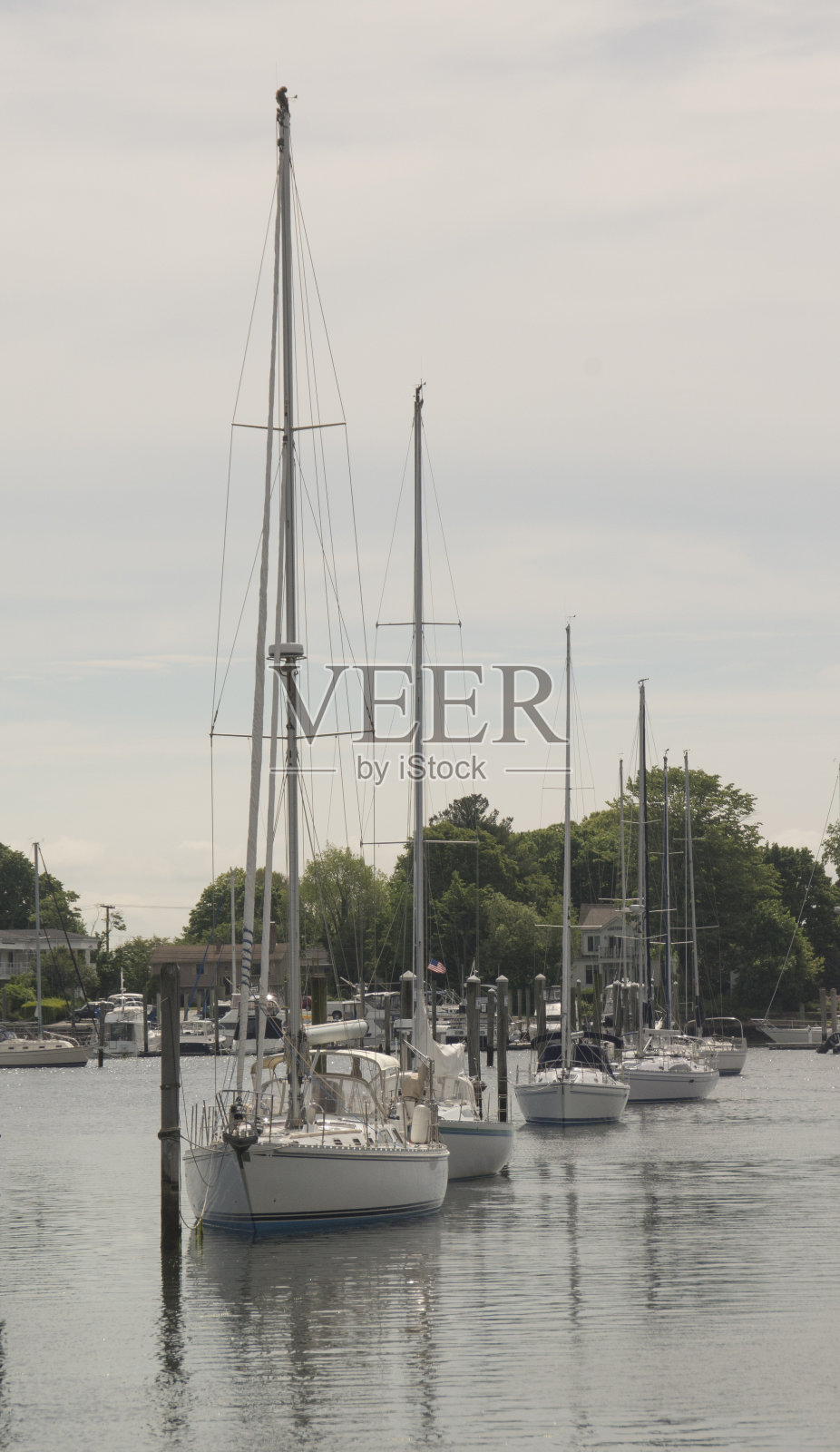 帆船排队照片摄影图片