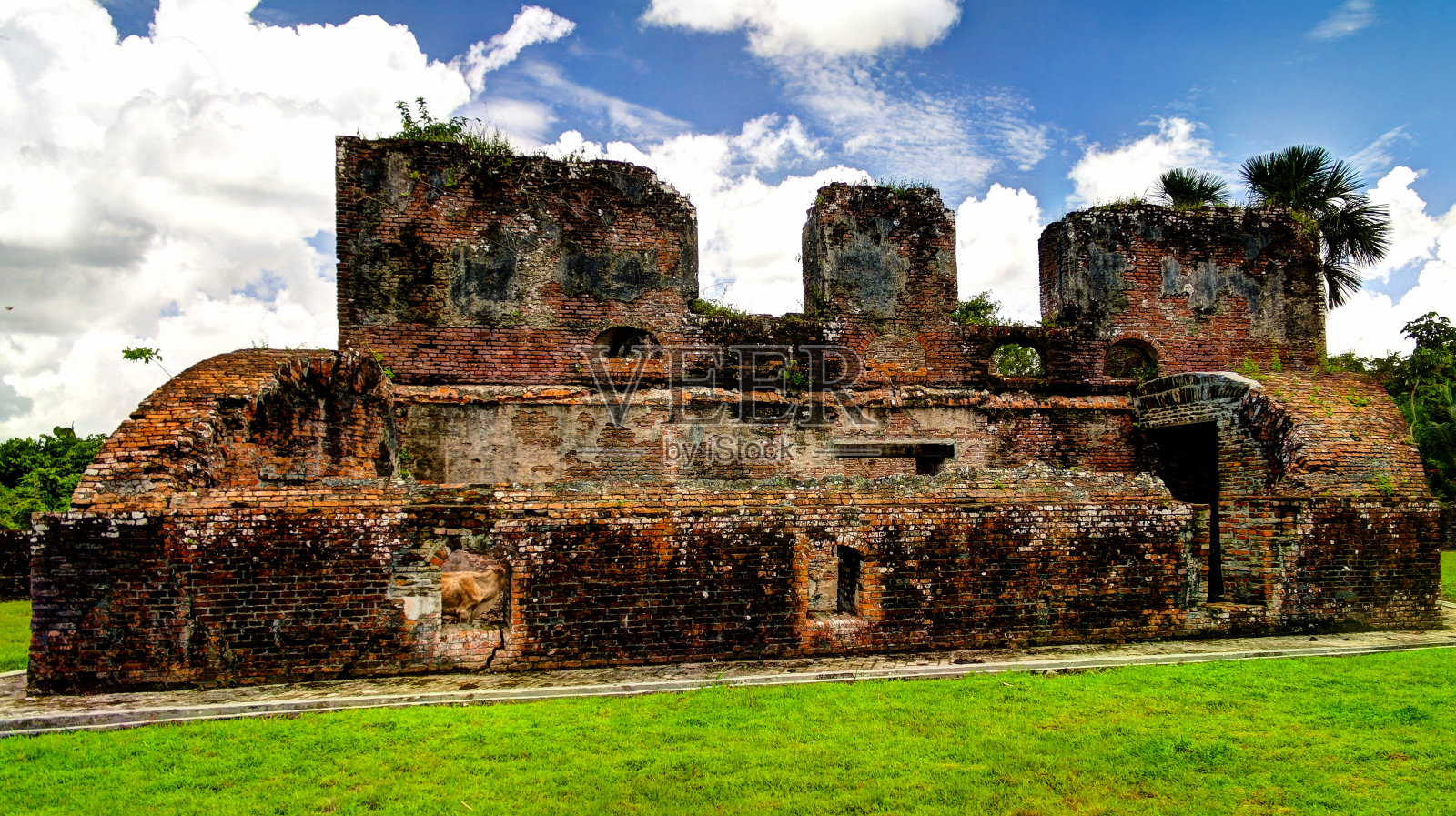 圭亚那埃塞奎博三角洲岛上的泽兰堡垒遗址照片摄影图片