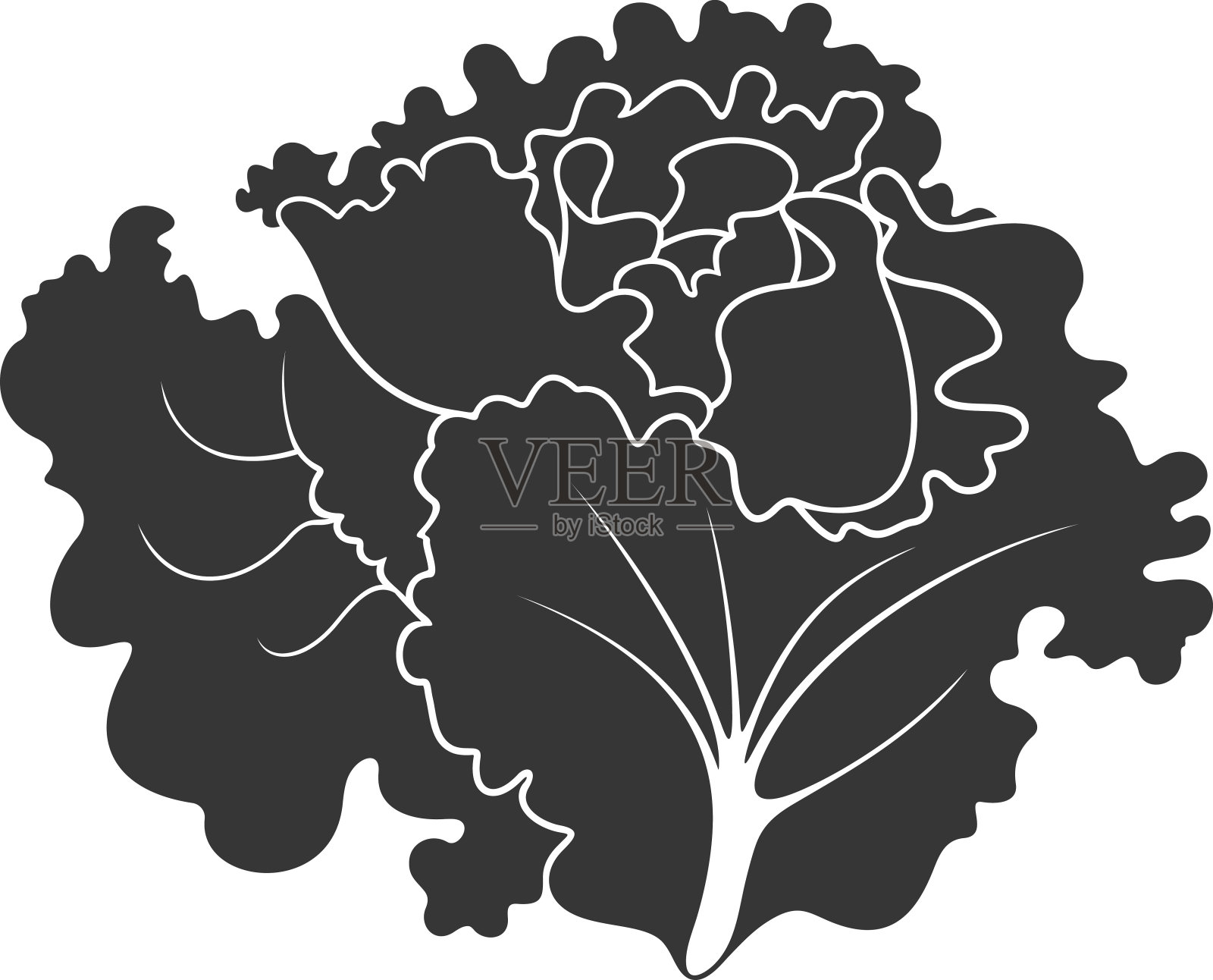 生菜设计元素图片