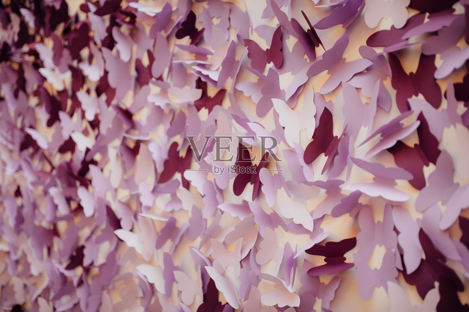 纸蝴蝶花环照片摄影图片