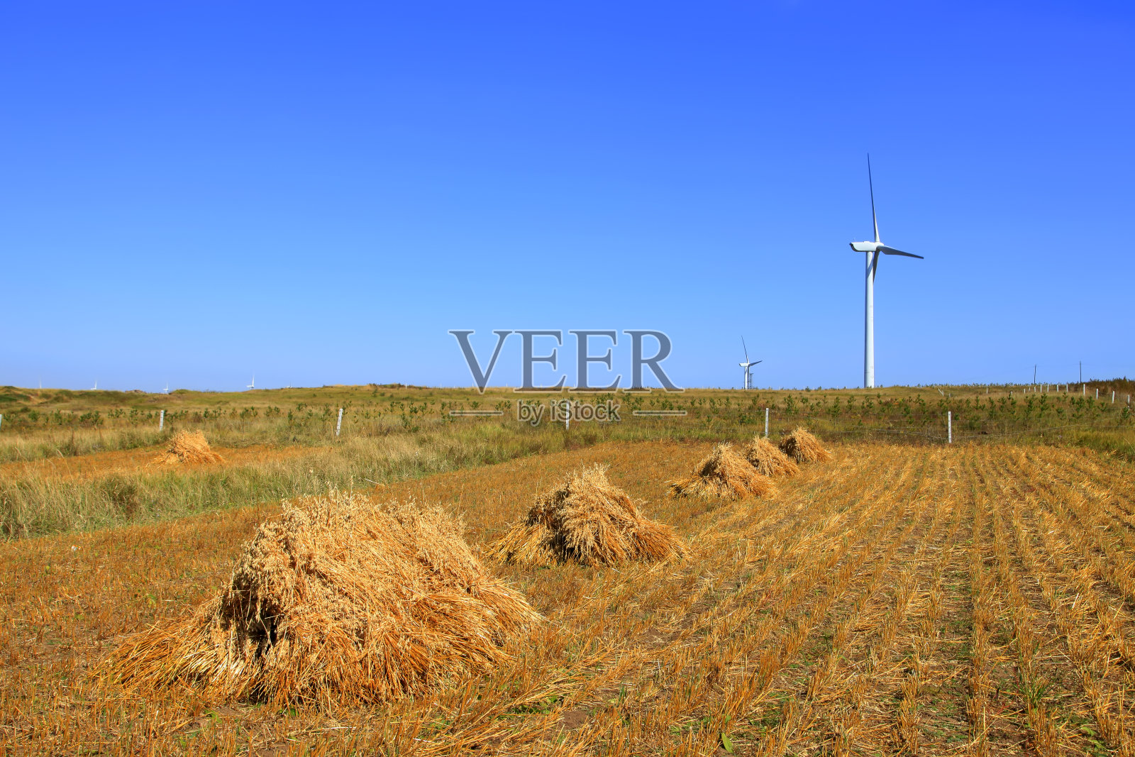 风力涡轮机照片摄影图片