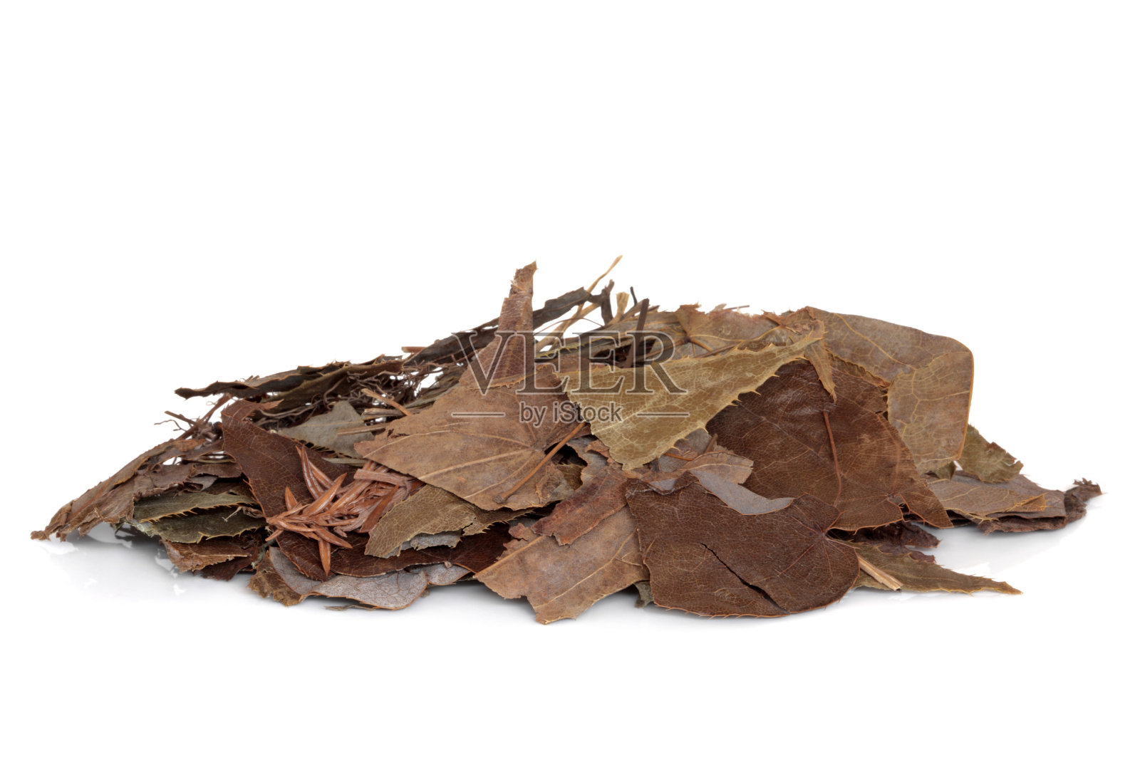 淫羊藿照片摄影图片