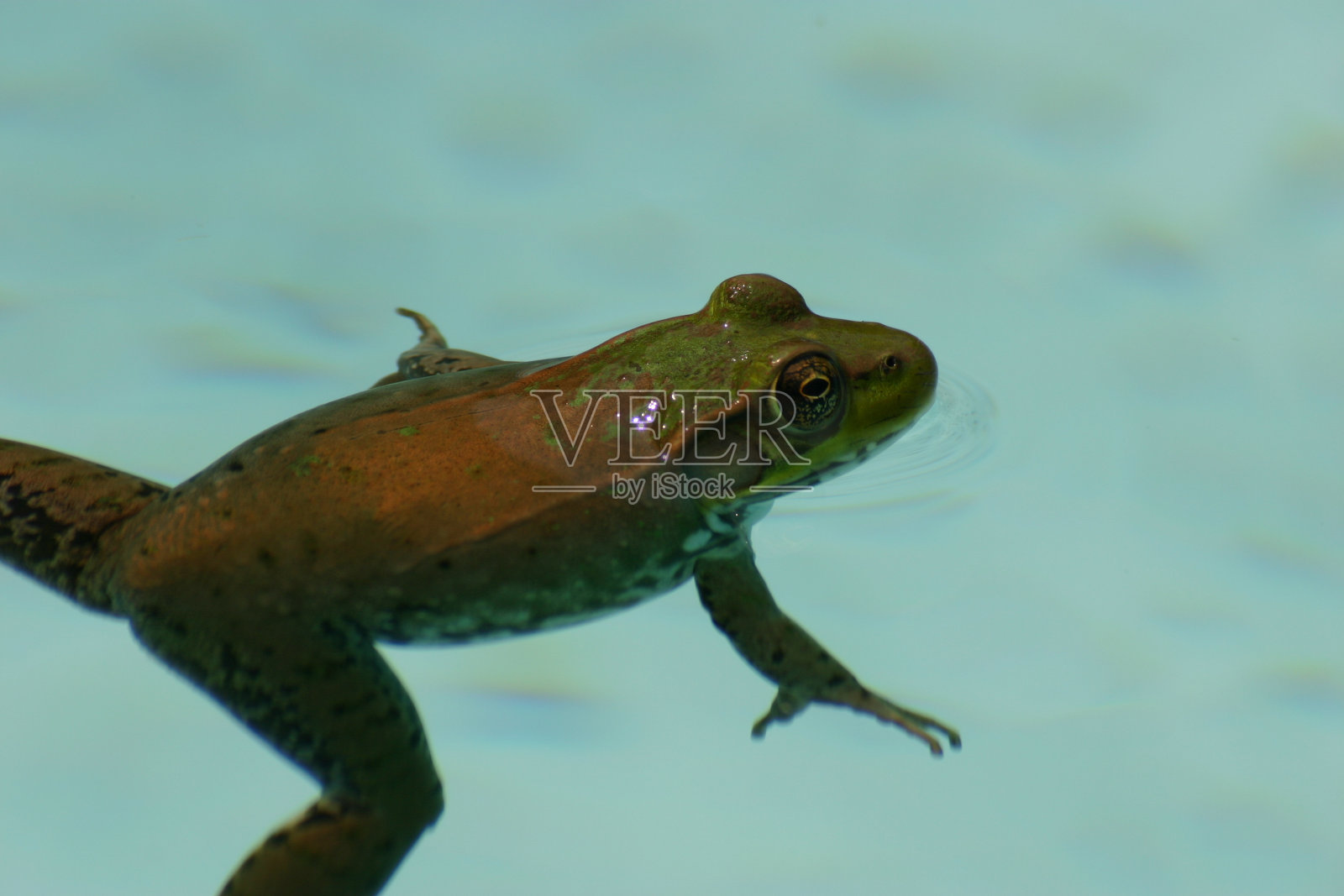 那里是谁?照片摄影图片