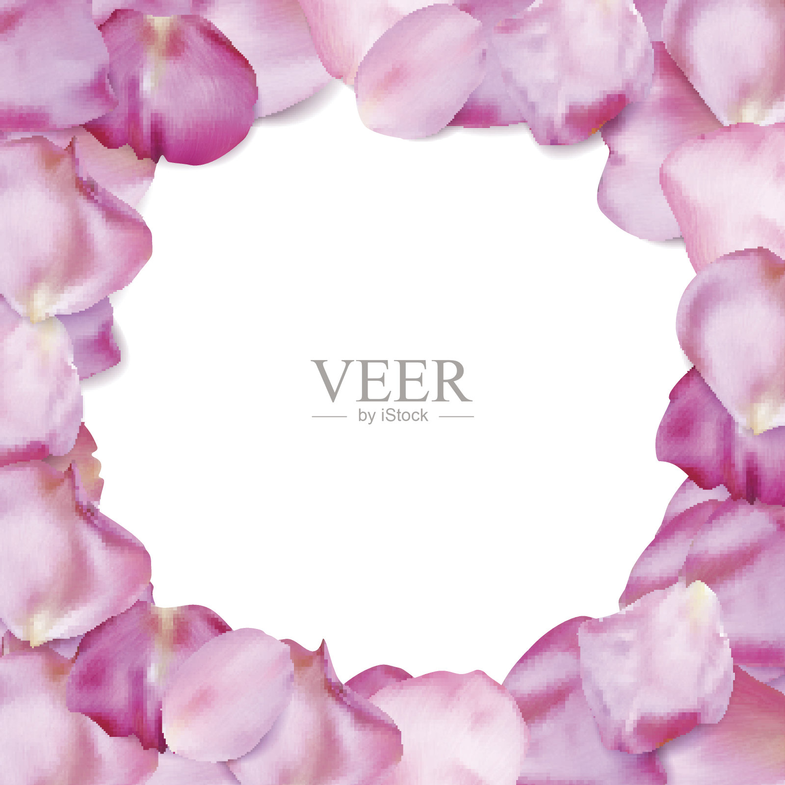 玫瑰花瓣框架插画图片素材