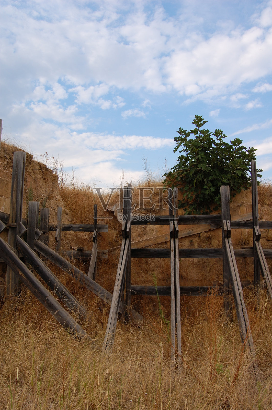 大自然之墙照片摄影图片