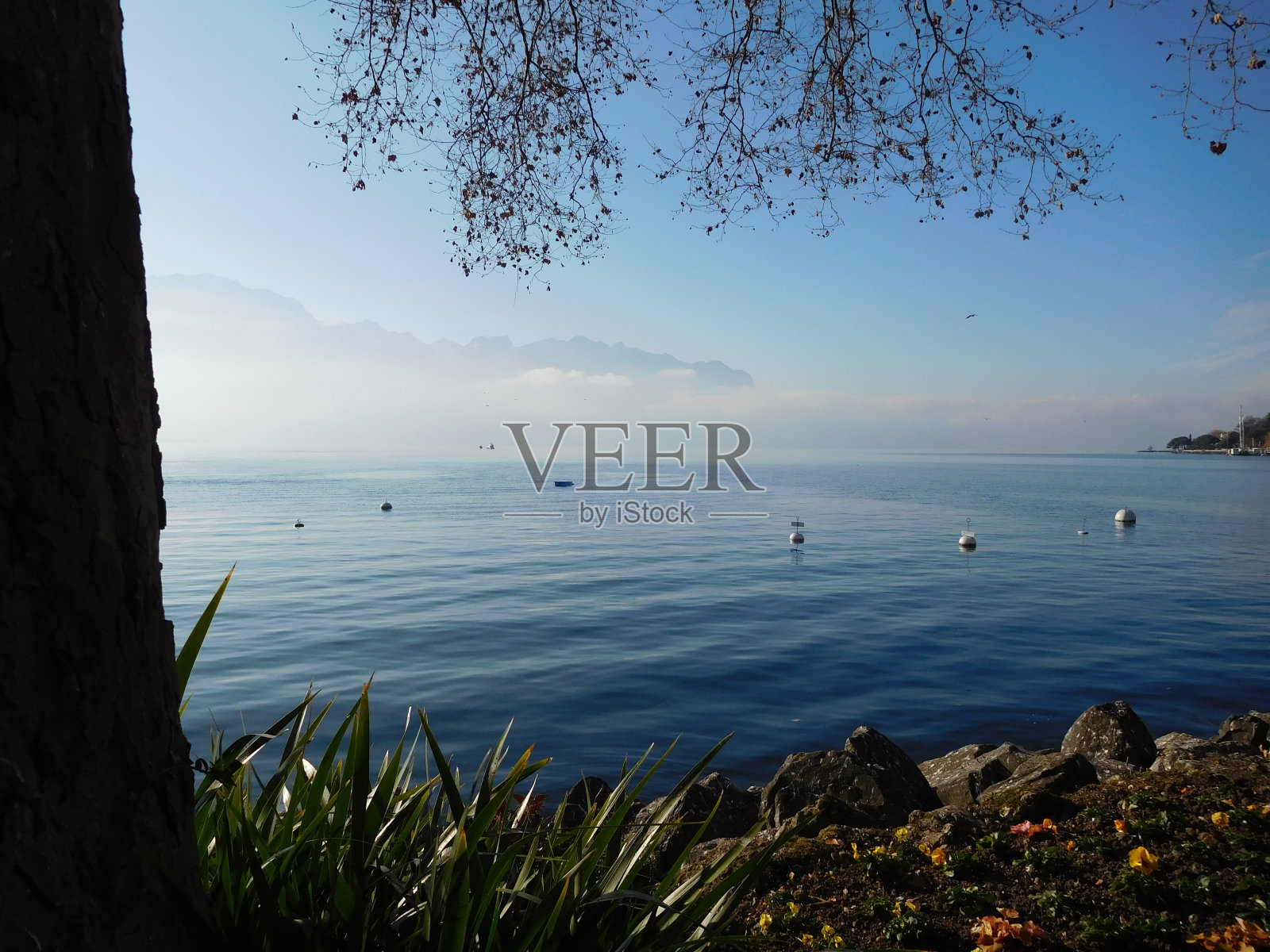 蒙特勒，瑞士，阿尔卑斯海岸小镇，2016年12月。照片摄影图片