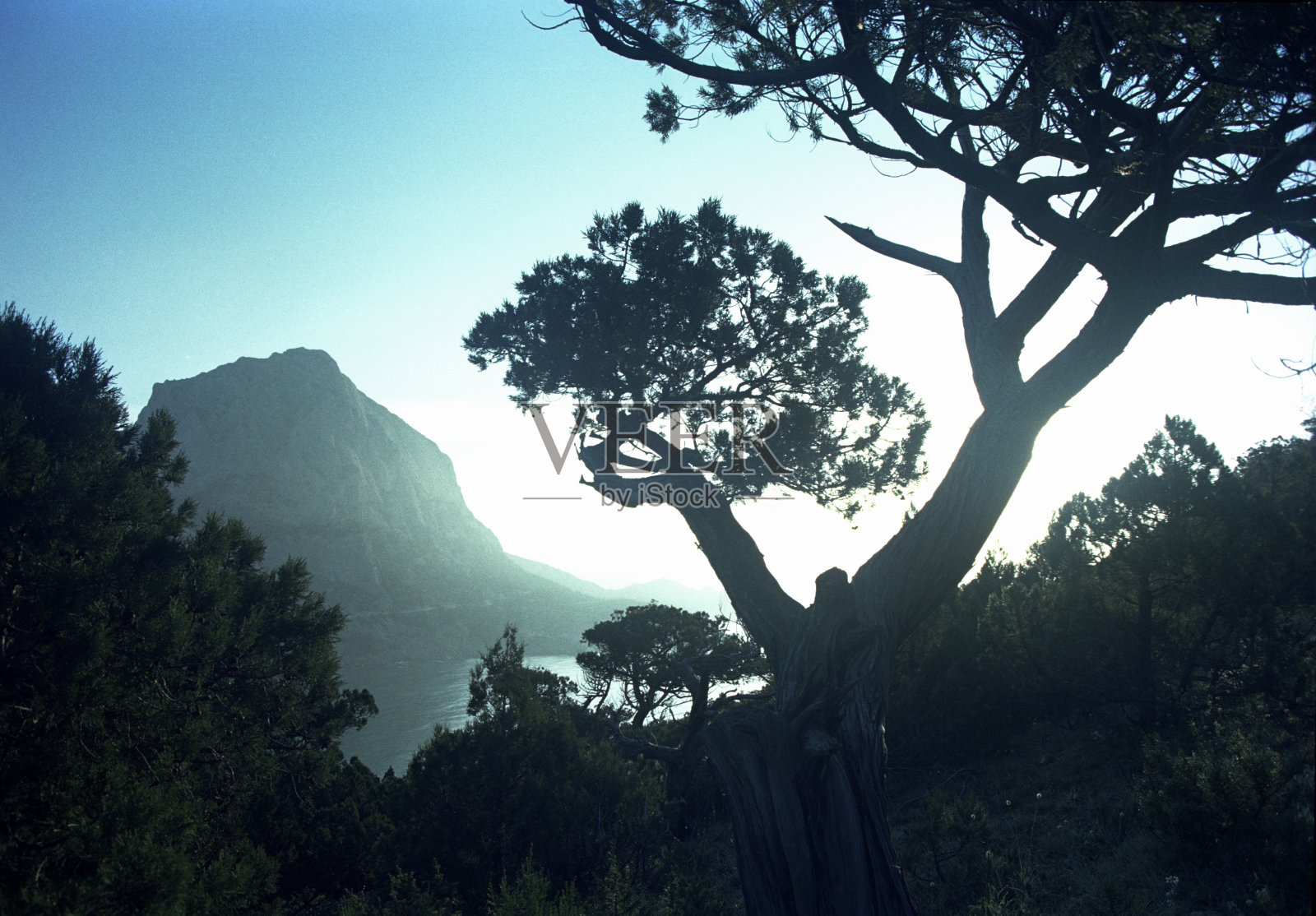 克里米亚。黑海。山照片摄影图片