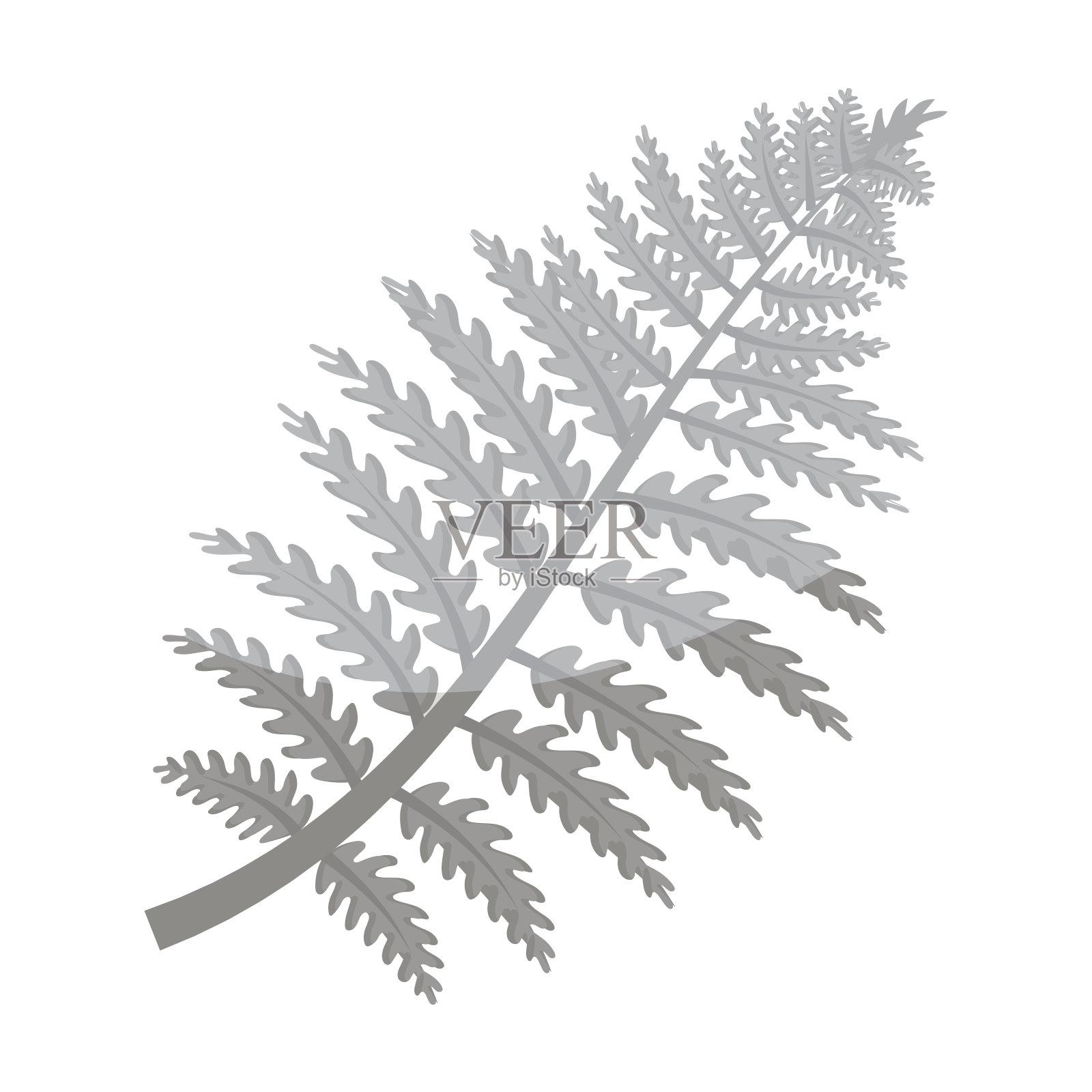 网络设计元素图片