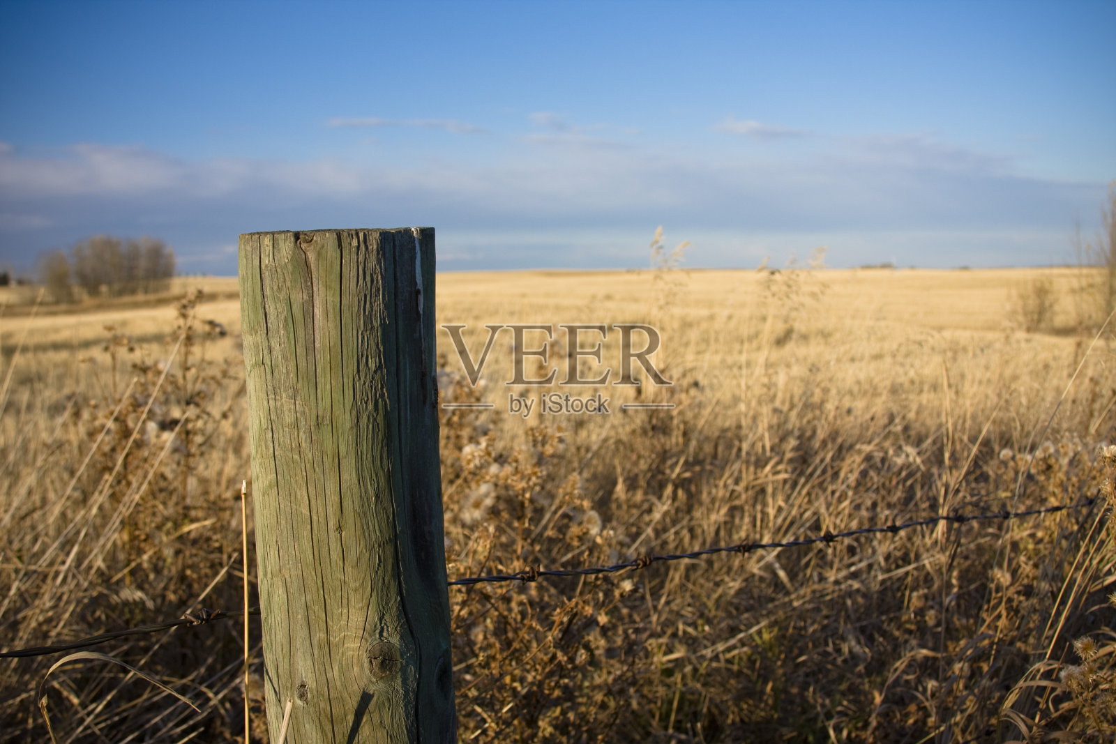 围栏柱照片摄影图片