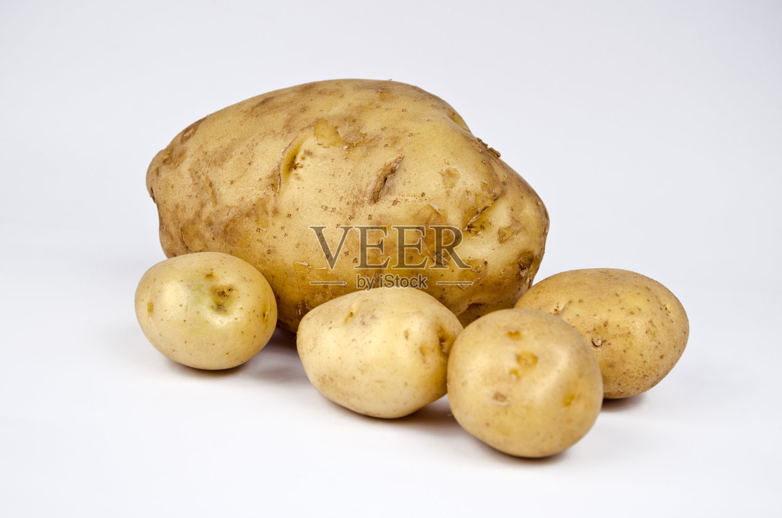 巨型土豆及其家族照片摄影图片