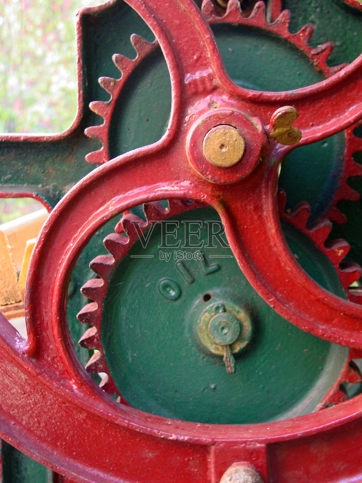 红树林照片摄影图片