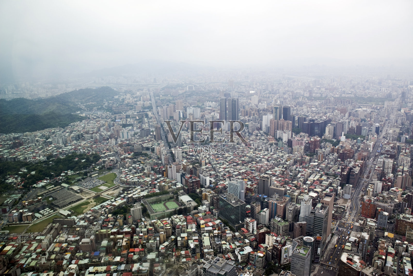 台北市蒜薹发育照片摄影图片
