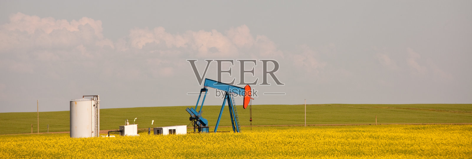 麦田里的抽油机照片摄影图片