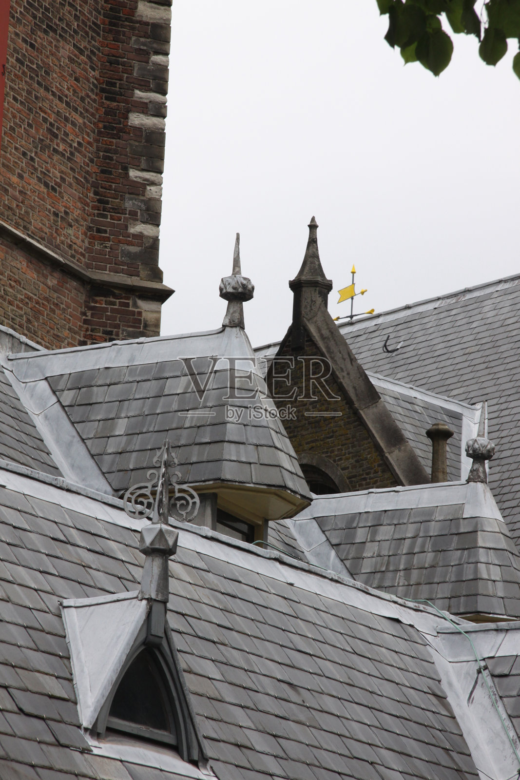 细节圣巴沃教堂哈勒姆照片摄影图片