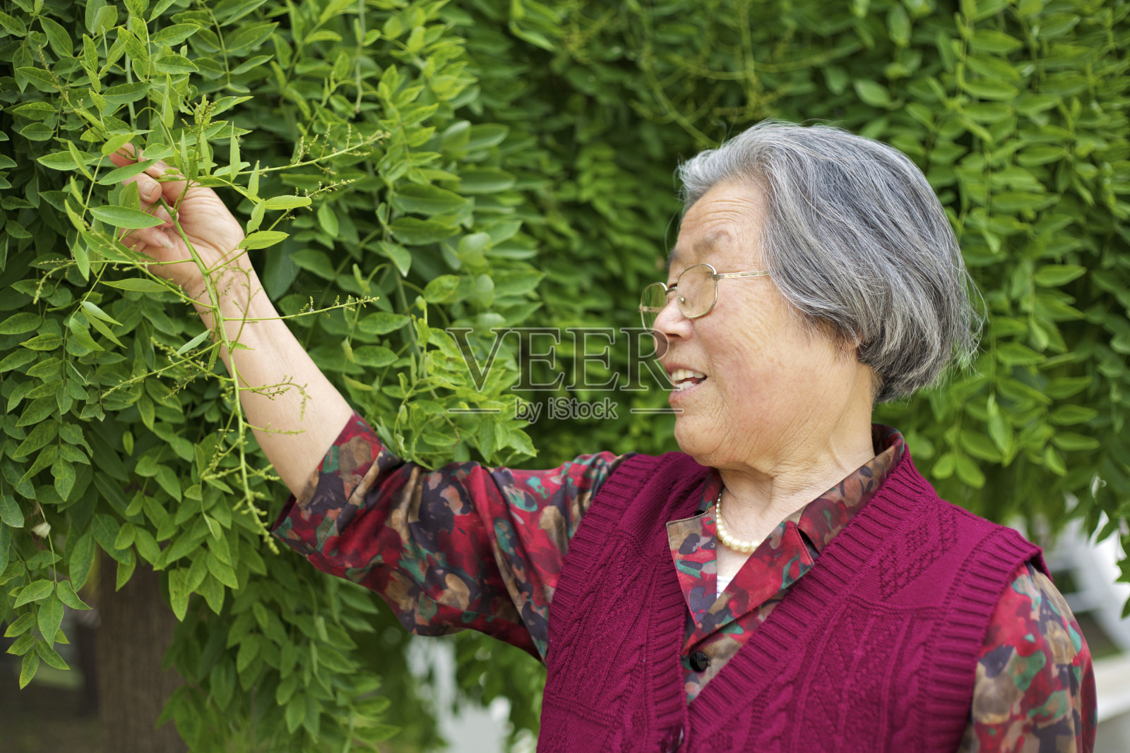 家人在一起照片摄影图片