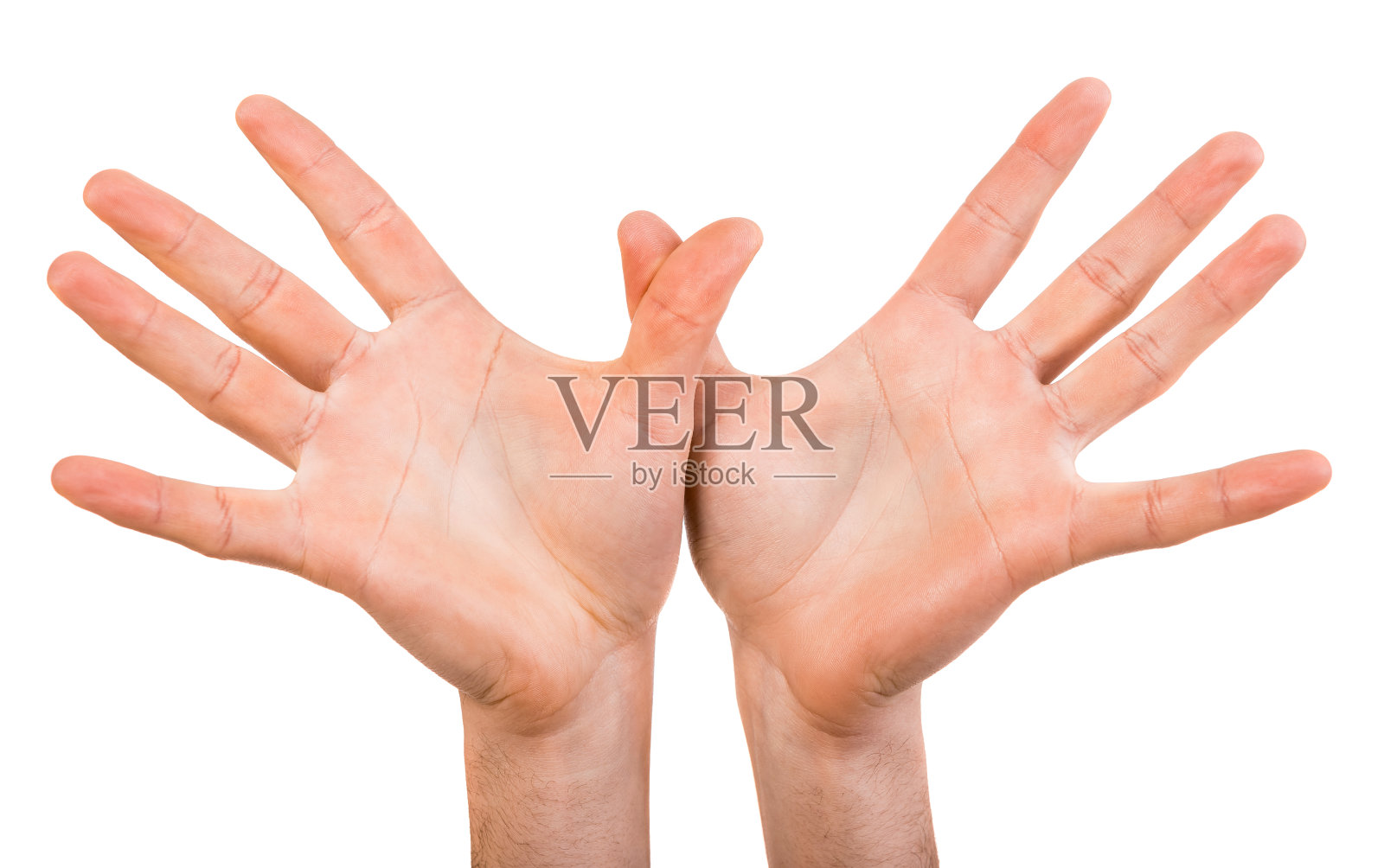 手照片摄影图片