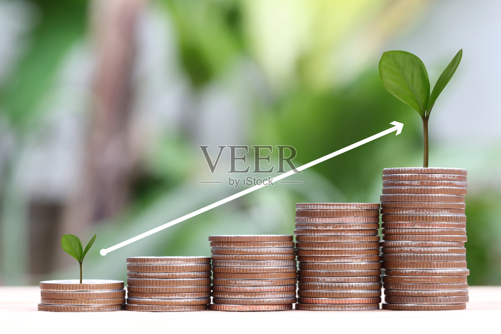 在银币堆上生长的幼苗：象征业务增长照片摄影图片