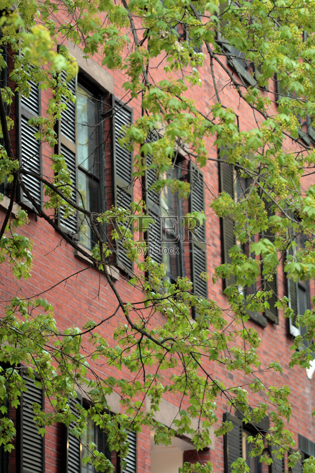 笔架山,波士顿照片摄影图片