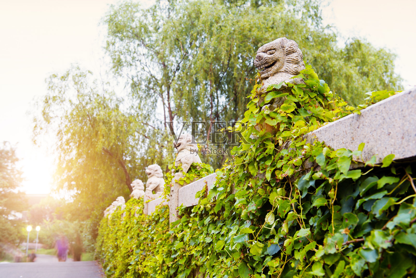 石狮照片摄影图片