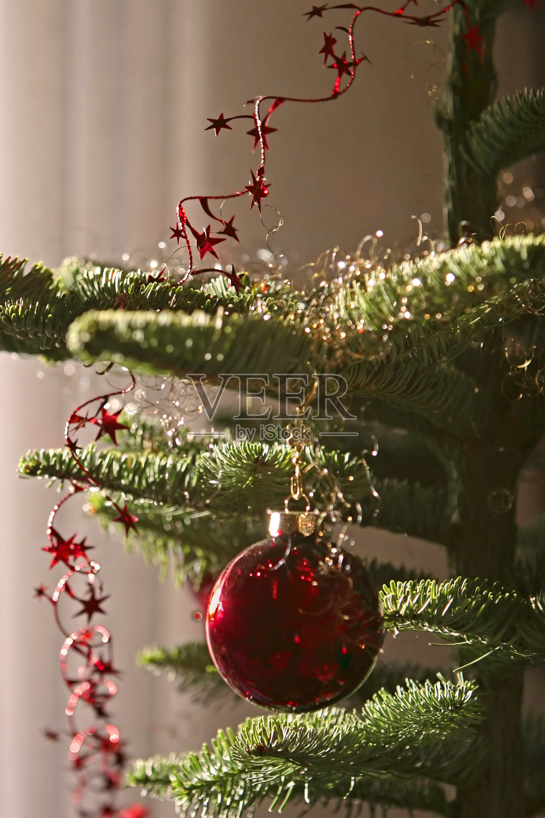 圣诞节在家里照片摄影图片