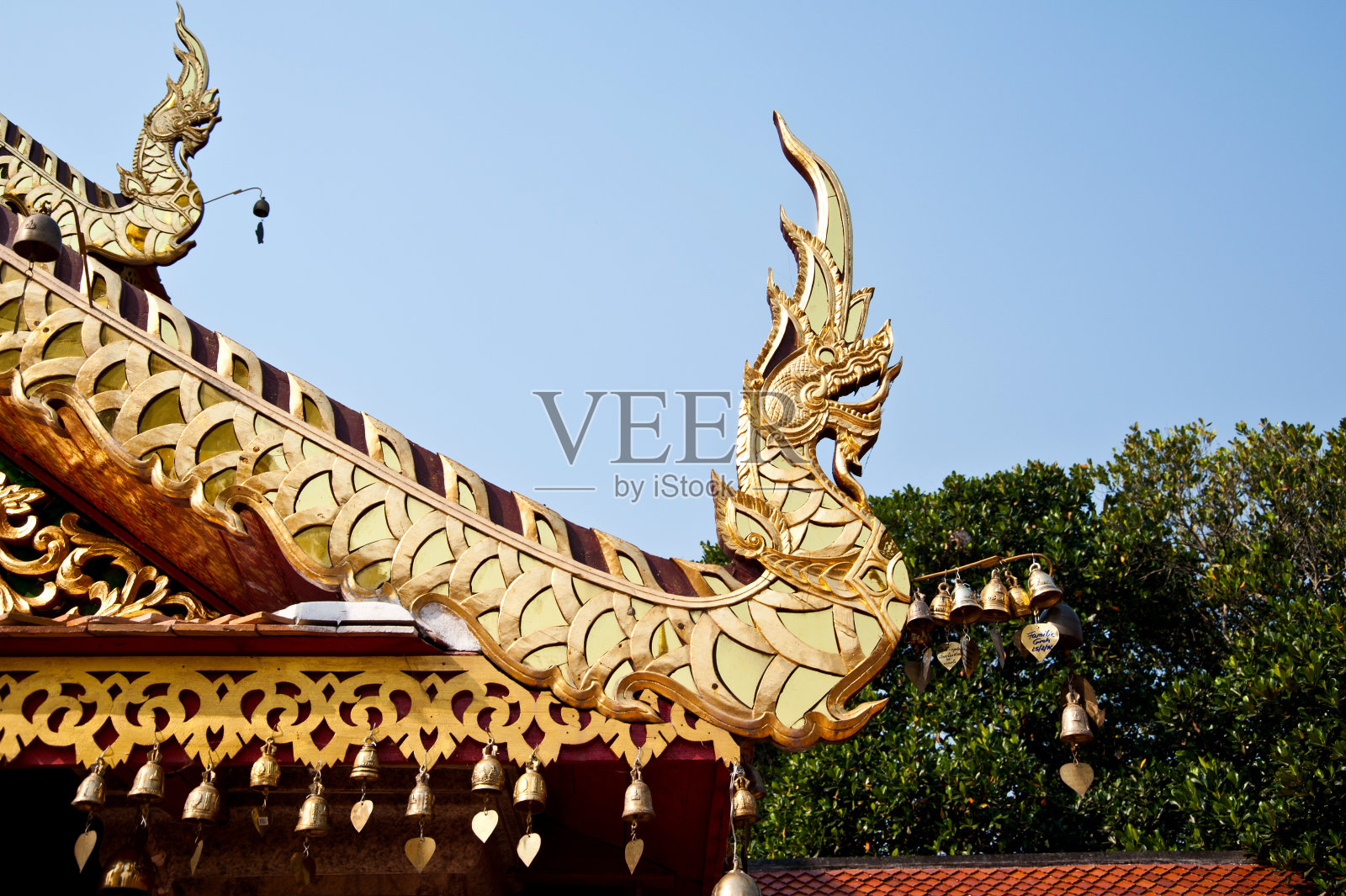 那加国王雕像照片摄影图片