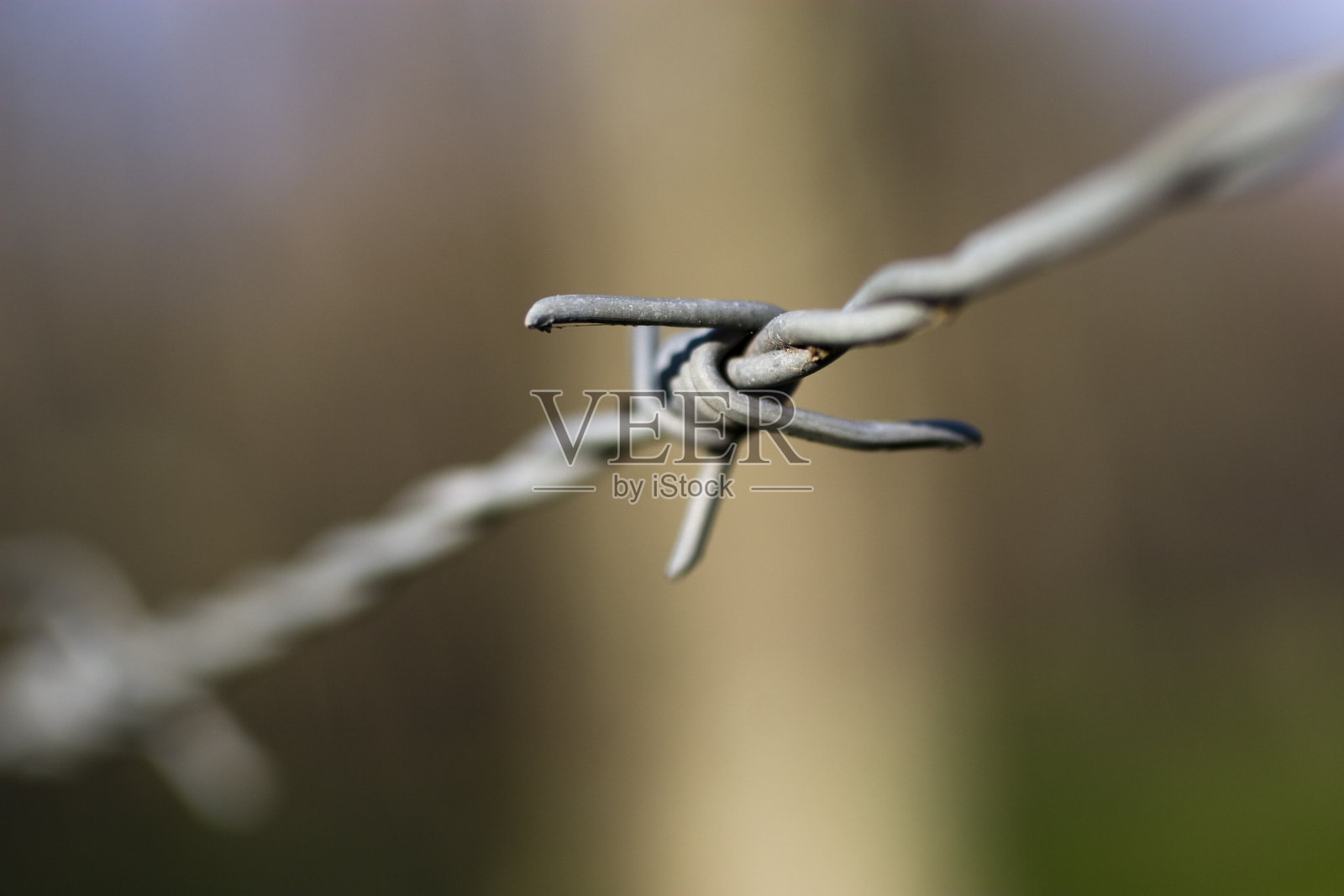 铁丝网照片摄影图片