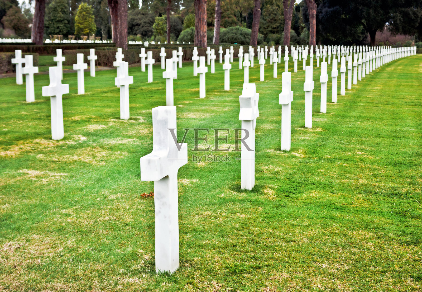 墓地里的十字架照片摄影图片