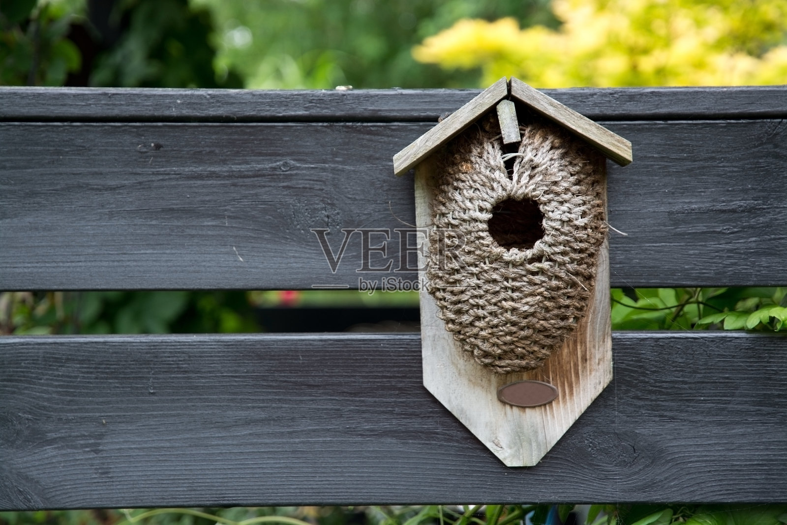 鸟类的生活照片摄影图片