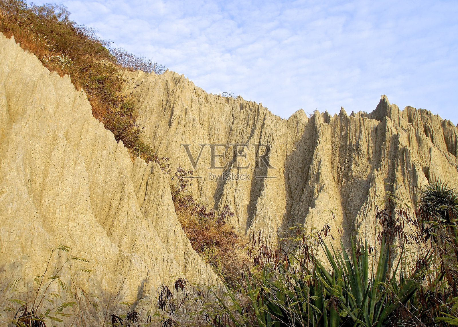 近距离观察台湾南部的荒地照片摄影图片