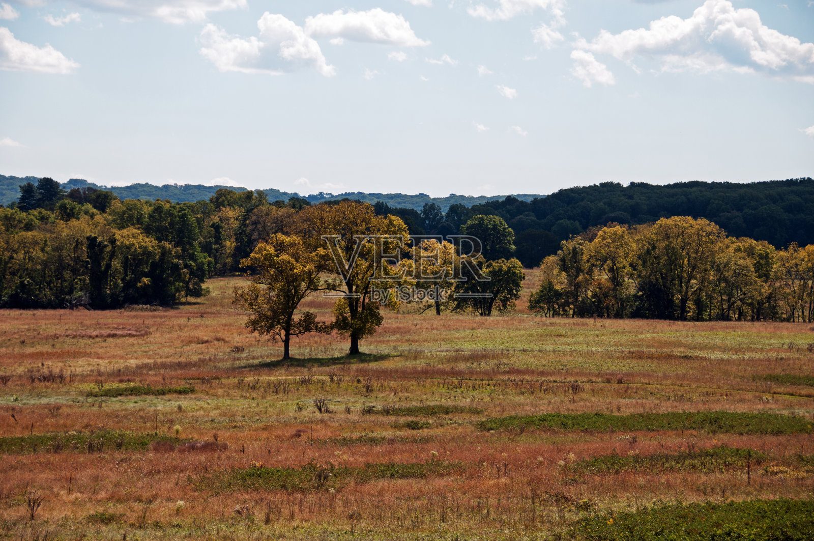福吉谷照片摄影图片
