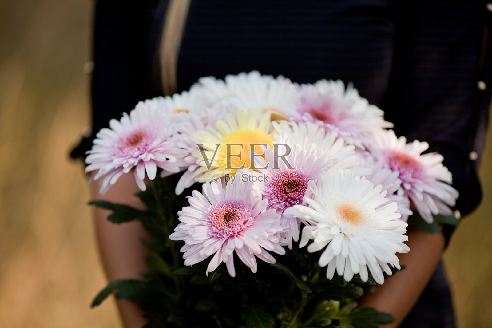 手捧花束照片摄影图片