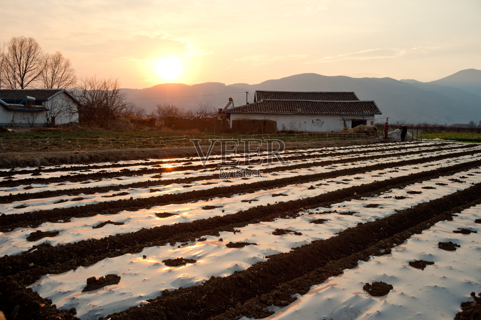 《暮光之城》的领域照片摄影图片