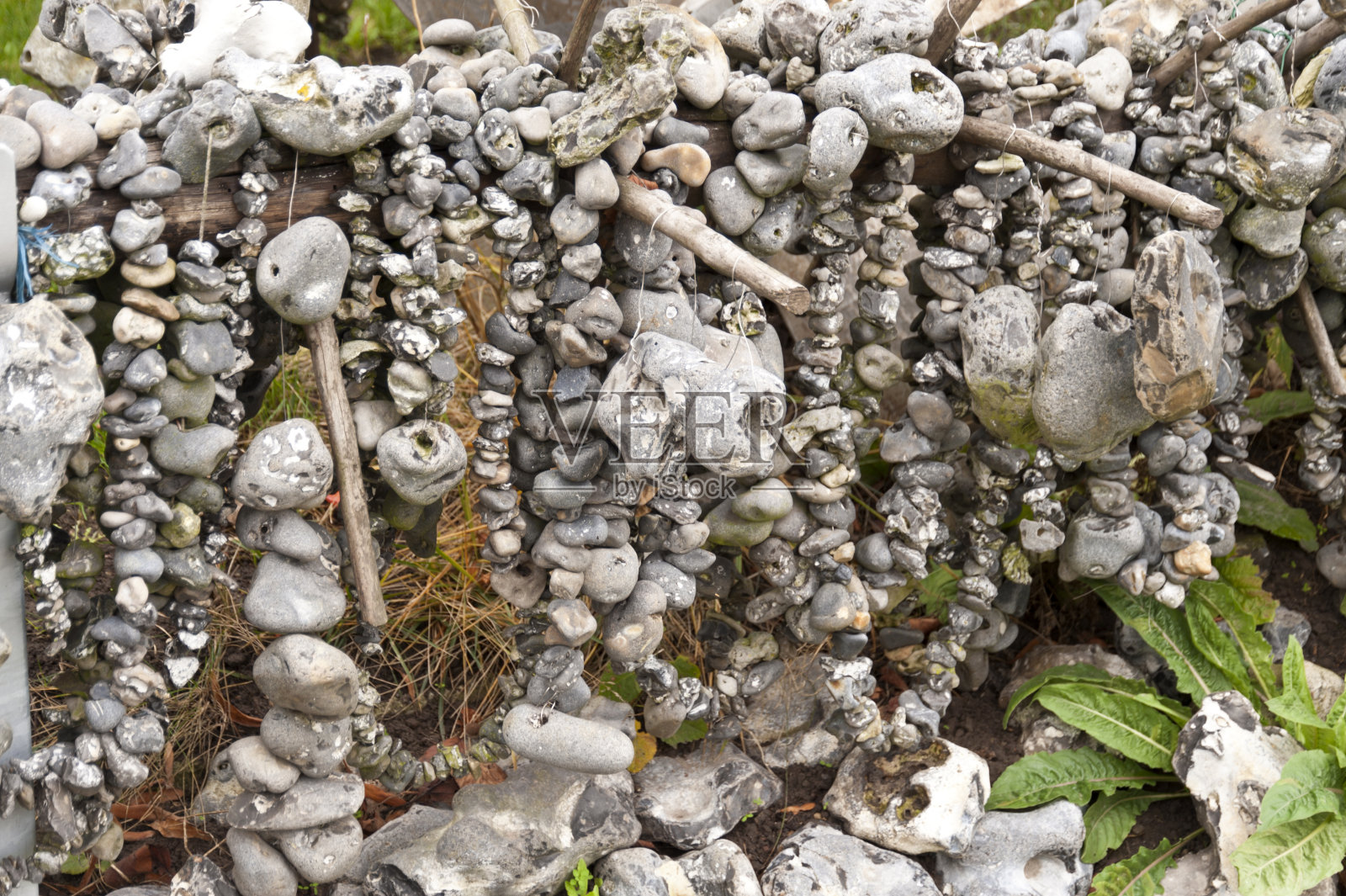 很多燧石族在绳索上排队照片摄影图片