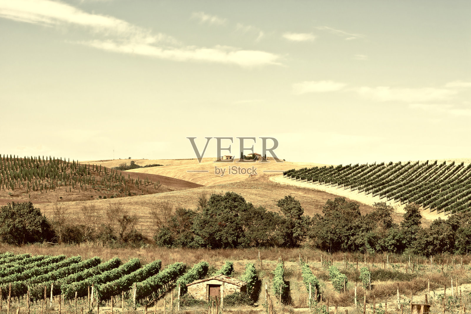 托斯卡纳照片摄影图片