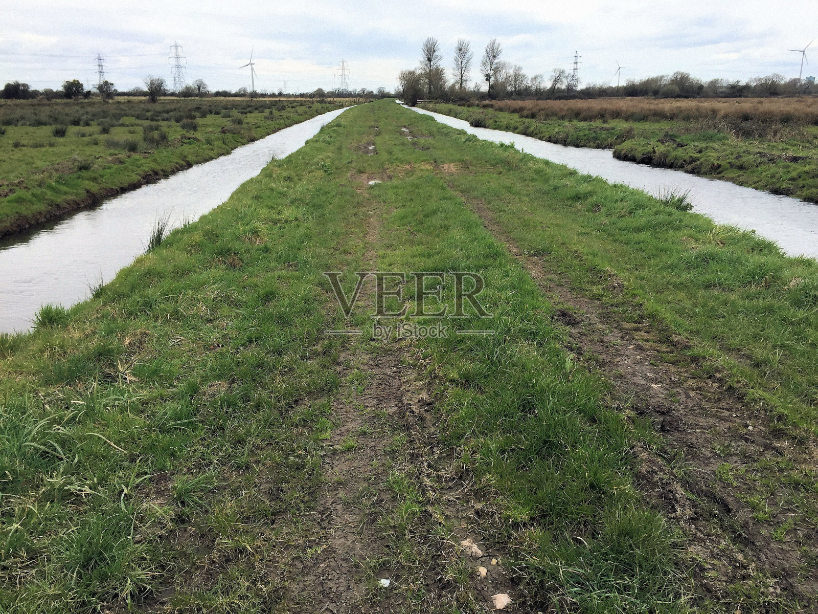 马戈摩尔照片摄影图片